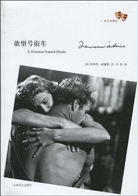 欲望号街车,探寻人性深渊的悲怆之旅