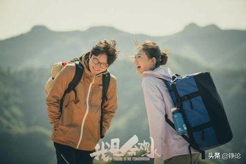 前妻逆袭司总别追了,一段跌宕起伏的情感纠葛