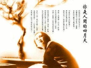 夜晚微风吹拂时,静谧时光里的温柔旋律